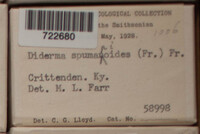 Image Associated With the Occurence